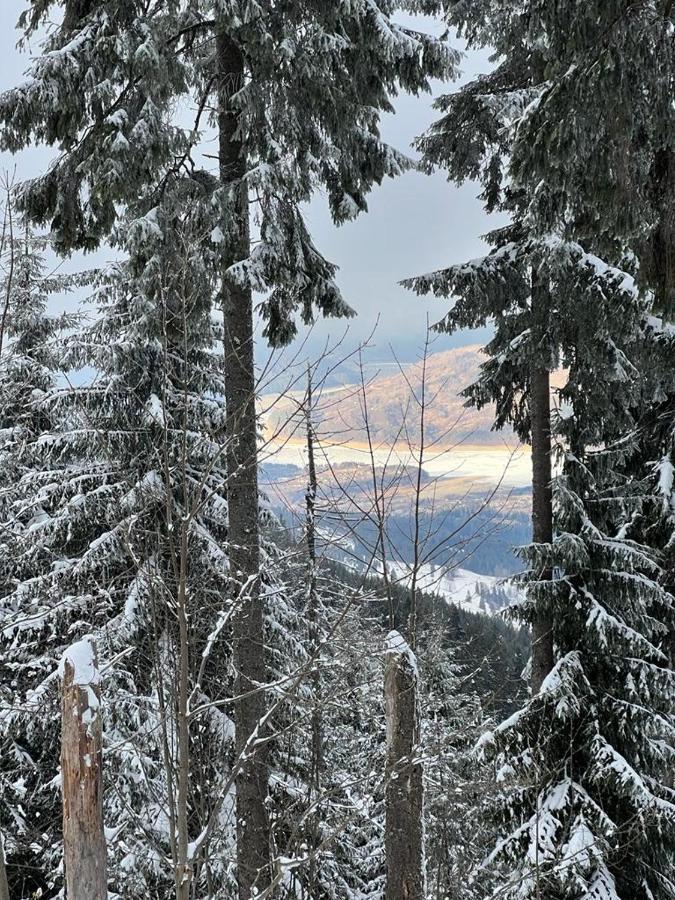 ホテル Mountain View Ceahlău エクステリア 写真